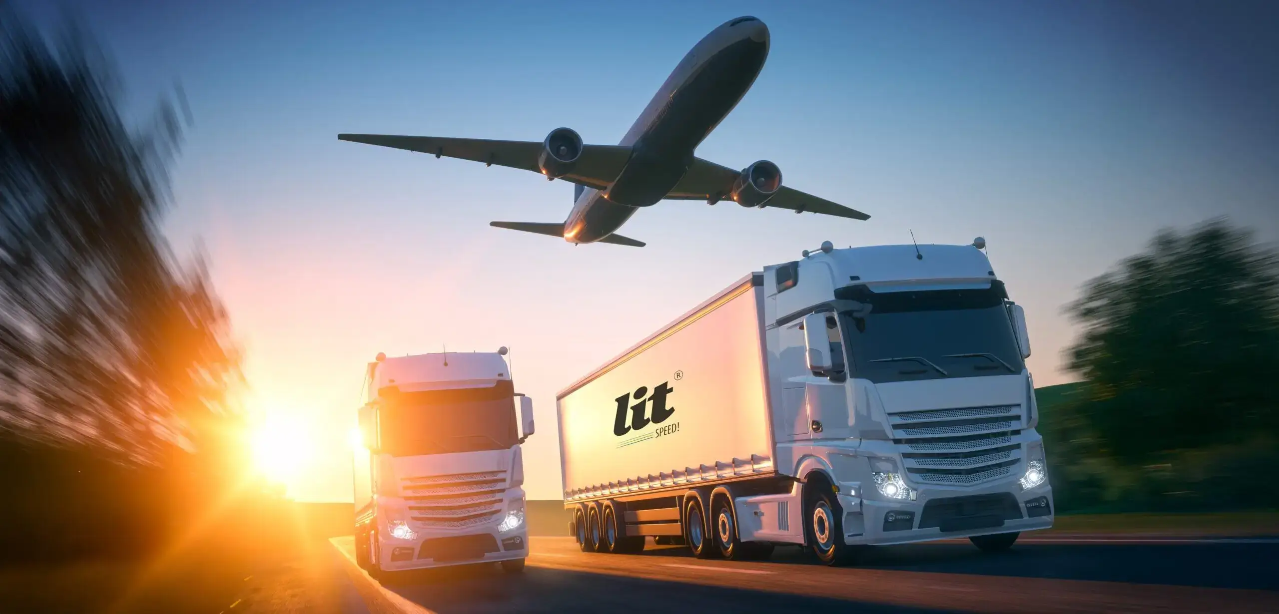 Customized Logistics Solutions